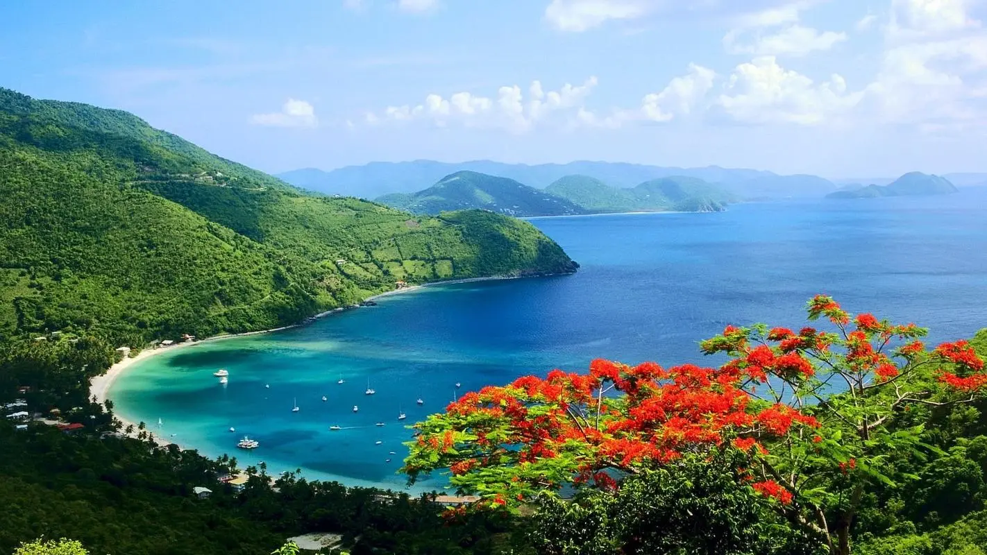 创意网络化无人化